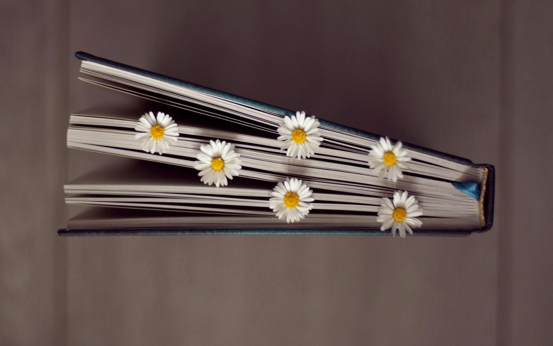 blumenbuch